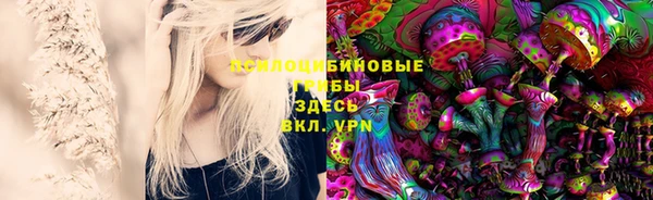 винт Аркадак